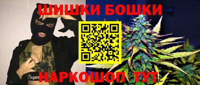 дмт Кингисепп
