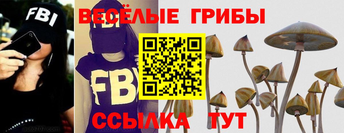Котельники  Галлюциногенные грибы MAGIC MUSHROOMS  Вход с VPN 